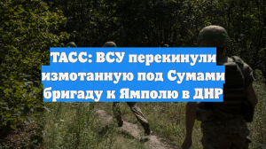ТАСС: ВСУ перекинули измотанную под Сумами бригаду к Ямполю в ДНР