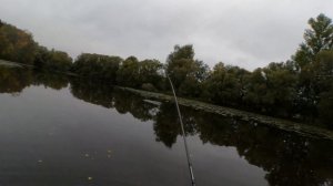 хороший утренний клёв щуки #рыболовтроицк #рыбалка #тинао #спиннинг #щука #rybolovtroick #tinao_fish