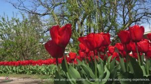 Целительная музыка для внутреннего покоя  Снятие стресса, отличная расслабляющая музыка