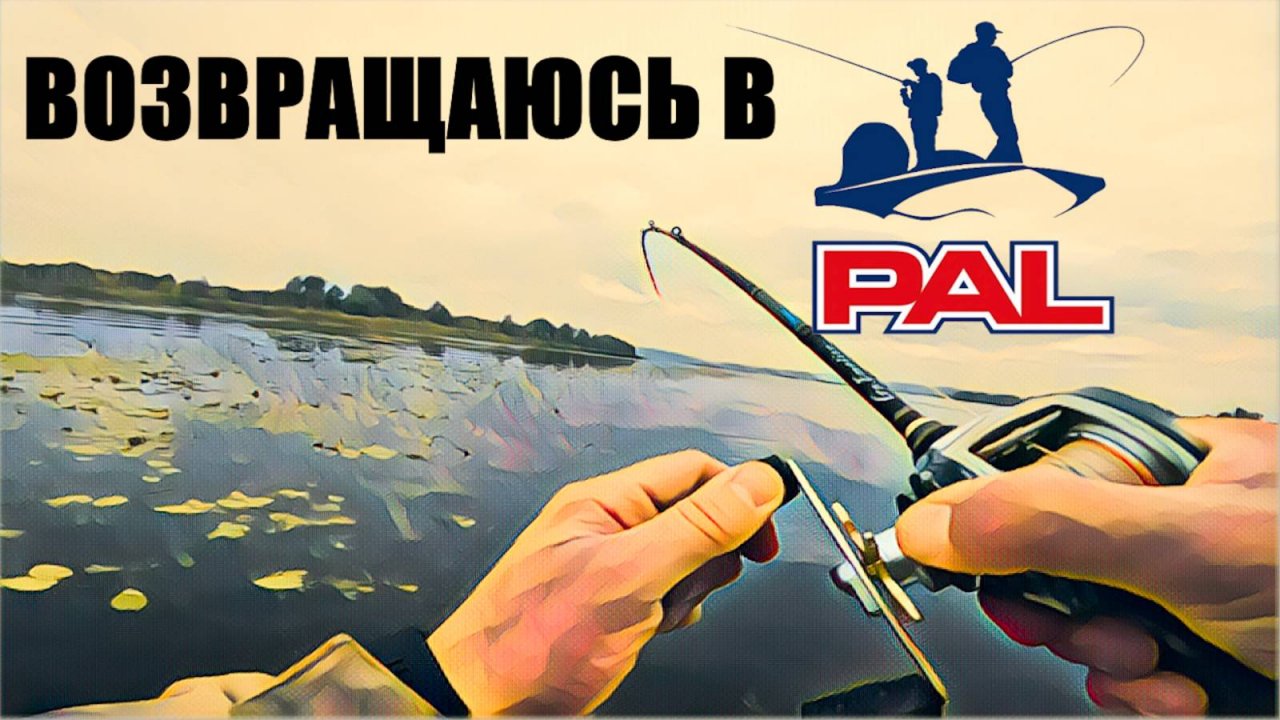 Возвращаюсь в PAL