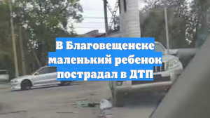 В Благовещенске маленький ребенок пострадал в ДТП