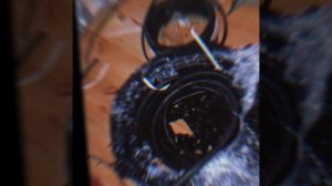 1000035254.mp4 (Собака смотрит на монтаж электропроводки в доме А-фрейм)