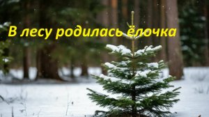 В лесу родилась ёлочка.