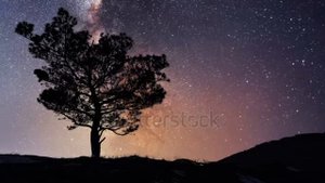 Не верь, не плачь, и не зови.