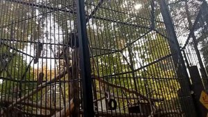 1000005517.mp4зоопарк