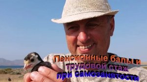 Пенсионные балы и трудовой стаж при самозанятости