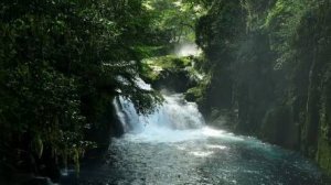 Звуки природы