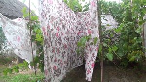 ШУТКА : Как обманываю птичек ПОДПИШИСЬ