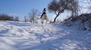 Последние дни зимы на Вольном Дону