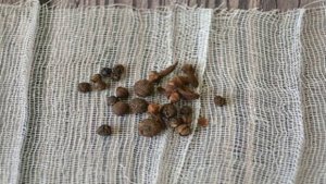 Кетчуп из помидоров и яблок на зиму