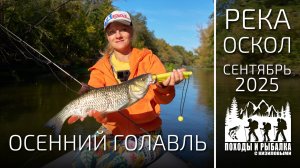Рыбалка на голавля в сентябре (Оскол 2025)
