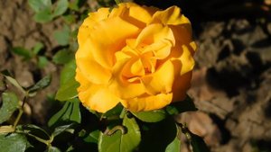 22==09==2025  ПВН  КМР   (48)