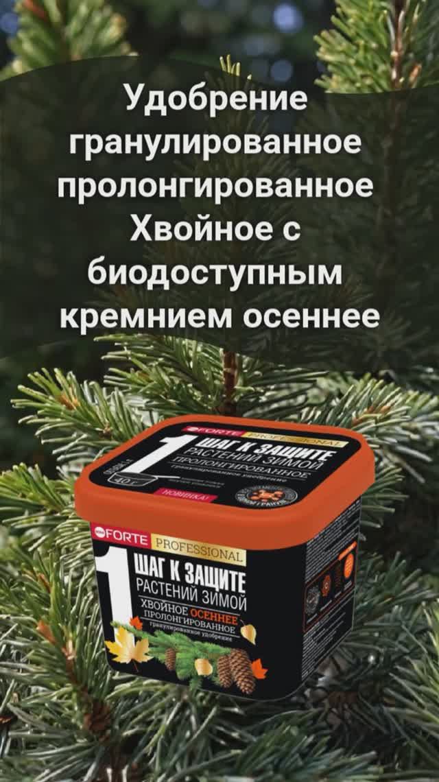 Чем удобрить хвойные деревья осенью #хвойные #хвойныерастения