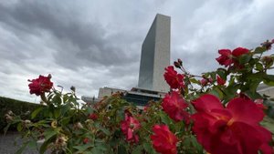 Эксперты ООН призвали FIFA и UEFA отстранить Израиль от турниров