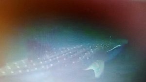 Я в ответе за твоё одиночество. читает автор Богдан Бандура.