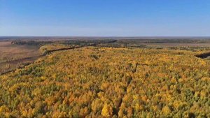 Летаю у деревни