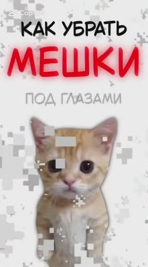 КОТЯТА ОБЪЯСНЯЮТ / Как убрать Мешки под Глазами? / Как улучшить Свою Кожу? / Как выбрать Прическу?