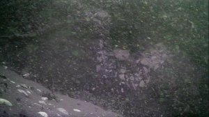 1000001528.mp4Волга гл.5м.23.09.2025г.