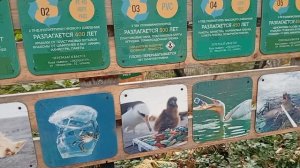 1000005454.mp4 Тяжёлая тема проблемы экологии