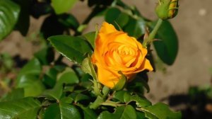 22==09==2025  ПВН  КМР   (18)