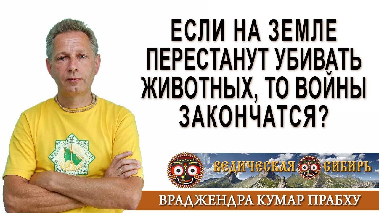Если на Земле перестанут убивать животных, то войны закончатся?