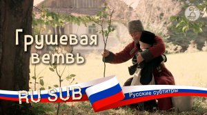 Короткометражный фильм «Грушевая ветвь» / «Кхъужьей къудамэ» 2024 (с русскими субтитрами)
