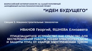 (3-8) ИВАНОВ Георгий Владиславович, ЯШНЕВА Елизавета Евгеньевна
