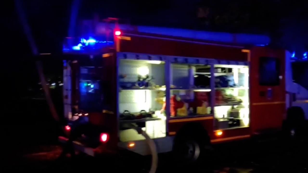 В Новосибирске тушат пожар в зоопарке: видео