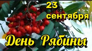 23 СЕНТЯБРЯ. У РЯБИНЫ ИМЕНИНЫ