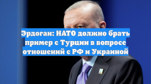 Эрдоган: НАТО должно брать пример с Турции в вопросе отношений с РФ и Украиной
