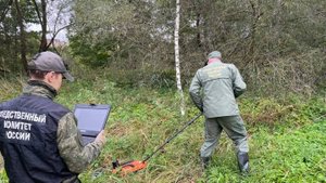 В псковской деревне найдено массовое захоронение времен ВОВ