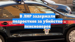 В ЛНР задержали подростков за убийство пенсионеров