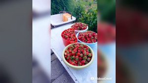 Фотиков Антон 2 б и Артём 5 и