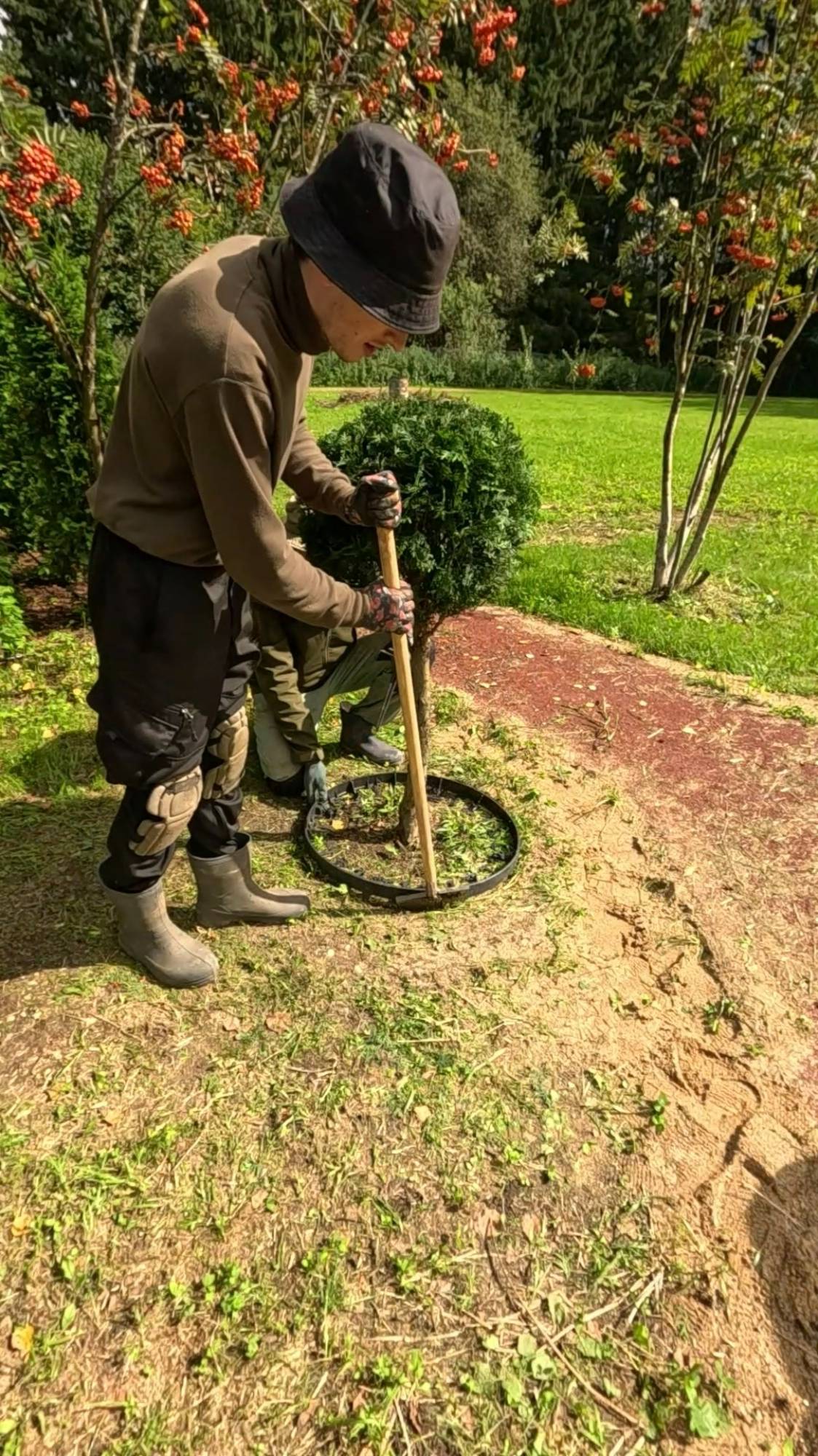 Небольшая трансформация в саду