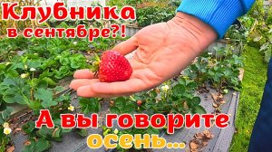 Время — наш самый ценный ресурс