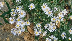 22==09==2025  ПВН  КМР   (2)