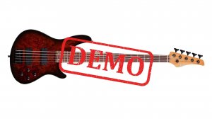 Бас-гитара SCHECTER C-5 STANDARD -краткая демонстрация звучания