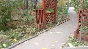 1000005525.mp4зоопарк