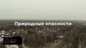 Жительница Сахалинской области погибла после нападения медведя