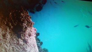 Я верил в силу обручального кольца. читает автор Богдан Бандура.