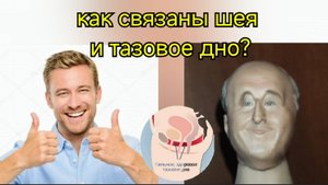 Сосуды шеи и мозга деградируют, когда слабеет, "хлябает" сухожильный центр тазового дна. Упражнения