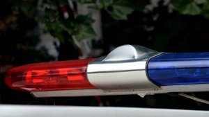 ОПГ в Югре обвинили в фиктивных браках с участниками СВО ради выплат