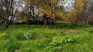 Последний не хладный ветер...