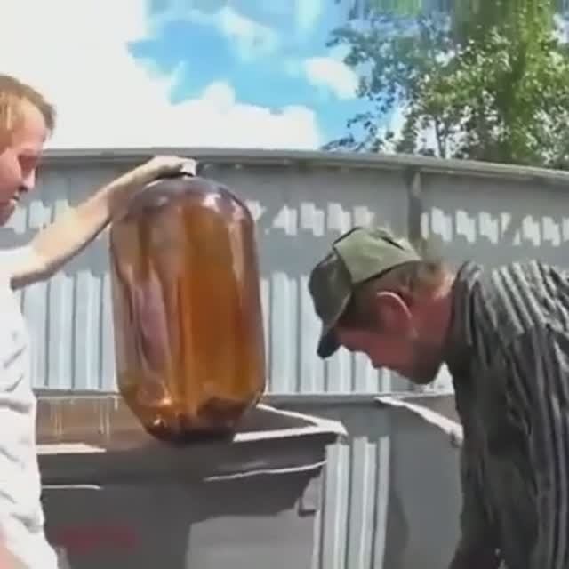 Бульдог