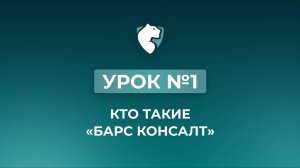 1. Кто такие "Барс Консалт"