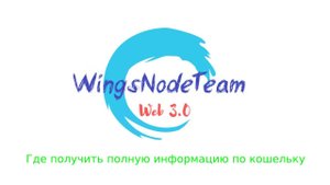 Где посмотреть всю информацию по кошельку | WingsNodeTeam