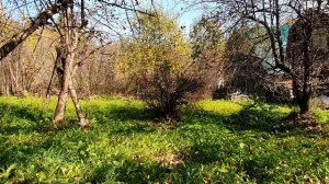 Пытаюсь стихом сжечь...