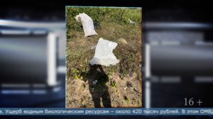 22.09.2025 Сахалинец, заготовивший 15 кг красной икры, стал фигурантом уголовного дела