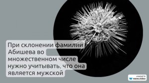 Фамилия Абишева: история происхождения и значения, склонение и интересные факты.