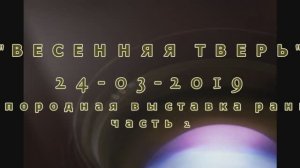 Тверь 24 03 2019 часть 2 - Русский Версаль (720p)